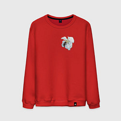 Свитшот хлопковый мужской Весна, цвет: красный