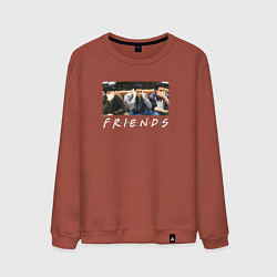 Свитшот хлопковый мужской Друзья, цвет: кирпичный