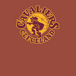 Свитшот хлопковый мужской Cavaliers man, цвет: кирпичный — фото 2