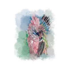 Свитшот хлопковый мужской Почти исчезнувшие виды, цвет: белый — фото 2