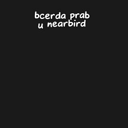 Свитшот хлопковый мужской Всегда прав и nearbird, цвет: черный — фото 2