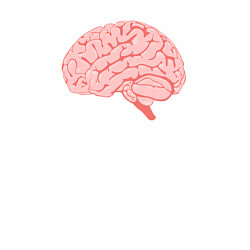 Свитшот хлопковый мужской Мозг иллюстрация, цвет: белый — фото 2