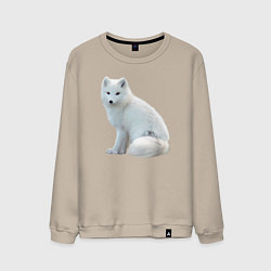 Свитшот хлопковый мужской Белая северная лиса, цвет: миндальный
