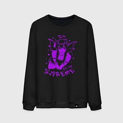 Свитшот хлопковый мужской Reign supreme, цвет: черный