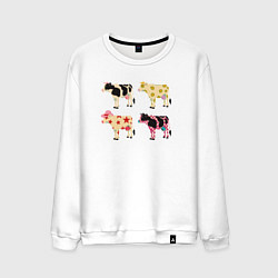 Свитшот хлопковый мужской Милые коровы поп-арт, цвет: белый