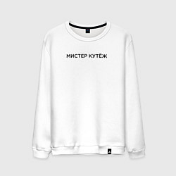 Мужской свитшот Мистер Кутеж, кутить