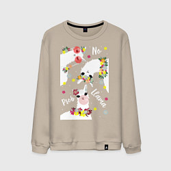 Свитшот хлопковый мужской Семья три ламы с цветами, цвет: миндальный