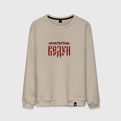 Свитшот хлопковый мужской Аналитик ведун, цвет: миндальный