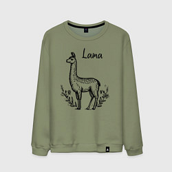 Свитшот хлопковый мужской Лама среди цветов, цвет: авокадо