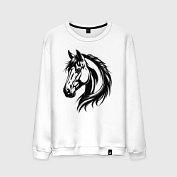 Мужской свитшот Грациозная лошадь