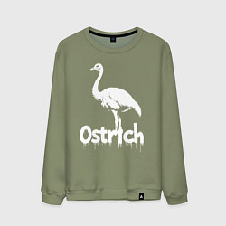 Мужской свитшот Страус в стиле граффити