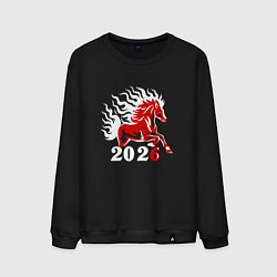 Свитшот хлопковый мужской Огненная лошадь с белой гривой, цвет: черный
