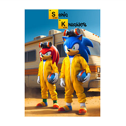 Свитшот хлопковый мужской Ёжик Соник и ехидна пустились во все тяжкие, цвет: белый — фото 2