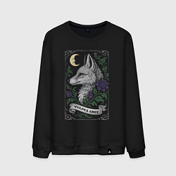 Свитшот хлопковый мужской Серая лиса под луной, цвет: черный