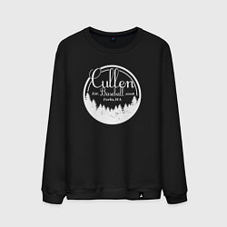Свитшот хлопковый мужской Baseball Cullen, цвет: черный