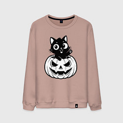 Мужской свитшот Котенок в тыкве