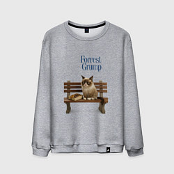 Свитшот хлопковый мужской Форрест Гамп - кот на скамейке, цвет: меланж
