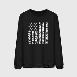 Свитшот хлопковый мужской USA style, цвет: черный