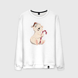 Свитшот хлопковый мужской Медвежонок с конфетой, цвет: белый
