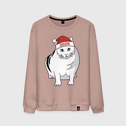 Свитшот хлопковый мужской Мемный кот Бендер - 2026, цвет: пыльно-розовый