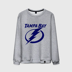 Свитшот хлопковый мужской HC Tampa Bay, цвет: меланж
