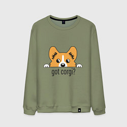Свитшот хлопковый мужской Got Corgi, цвет: авокадо