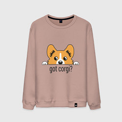 Свитшот хлопковый мужской Got Corgi, цвет: пыльно-розовый