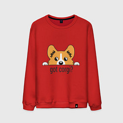 Мужской свитшот Got Corgi