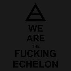 Свитшот хлопковый мужской We are the fucking echelon, цвет: черный — фото 2