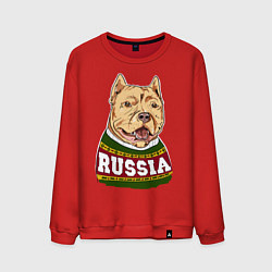 Свитшот хлопковый мужской Made in Russia: собака, цвет: красный