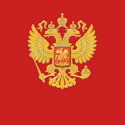 Свитшот хлопковый мужской Герб России: золото, цвет: красный — фото 2
