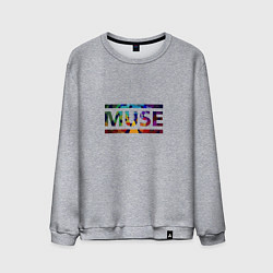 Свитшот хлопковый мужской Muse Colour, цвет: меланж