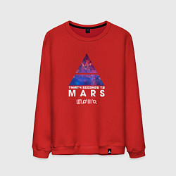 Свитшот хлопковый мужской 30 STM: cosmos, цвет: красный