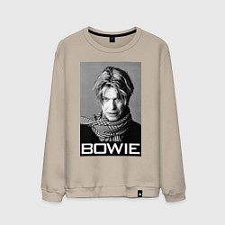 Свитшот хлопковый мужской Bowie Legend, цвет: миндальный
