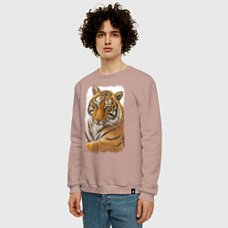 Свитшот хлопковый мужской Tiger: retro style, цвет: пыльно-розовый — фото 2