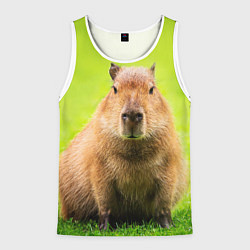 Майка-безрукавка мужская Capybara on green grass, цвет: 3D-белый