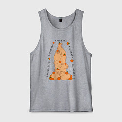 Майка мужская хлопок Гора капибара, цвет: меланж