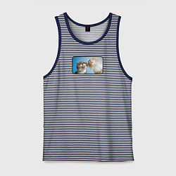 Мужская майка Два кота