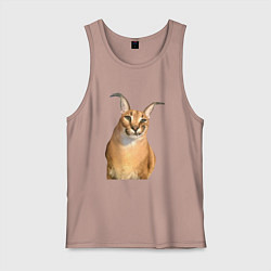 Майка мужская хлопок Кот Шлепа блоггер, цвет: пыльно-розовый