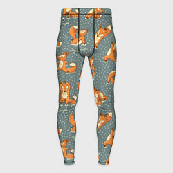 Мужские тайтсы Foxes Yoga