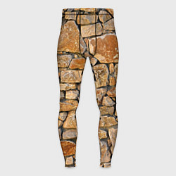 Тайтсы мужские Каменная стена, цвет: 3D-принт