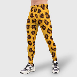 Тайтсы мужские Текстура леопарда, цвет: 3D-принт — фото 2