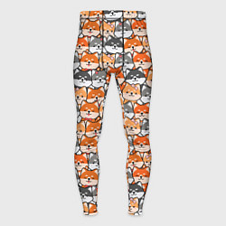 Мужские тайтсы Dog pattern
