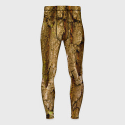 Мужские тайтсы Кора дерева текстура