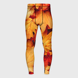 Мужские тайтсы Осенние кленовые листья