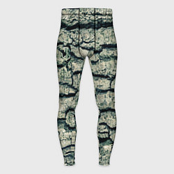 Мужские тайтсы Кора