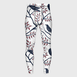 Мужские тайтсы Вороны на ветках