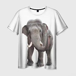Мужская футболка Большой слон
