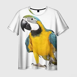 Мужская футболка Попугай ара