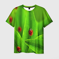 Мужская футболка Милые насекомые